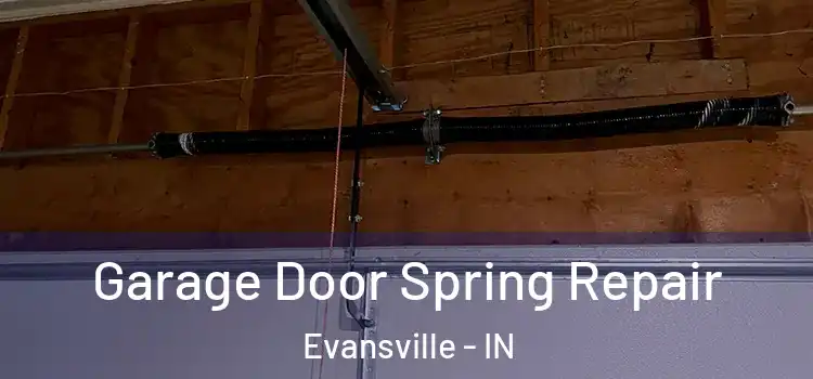  Garage Door Spring Repair Evansville - IN